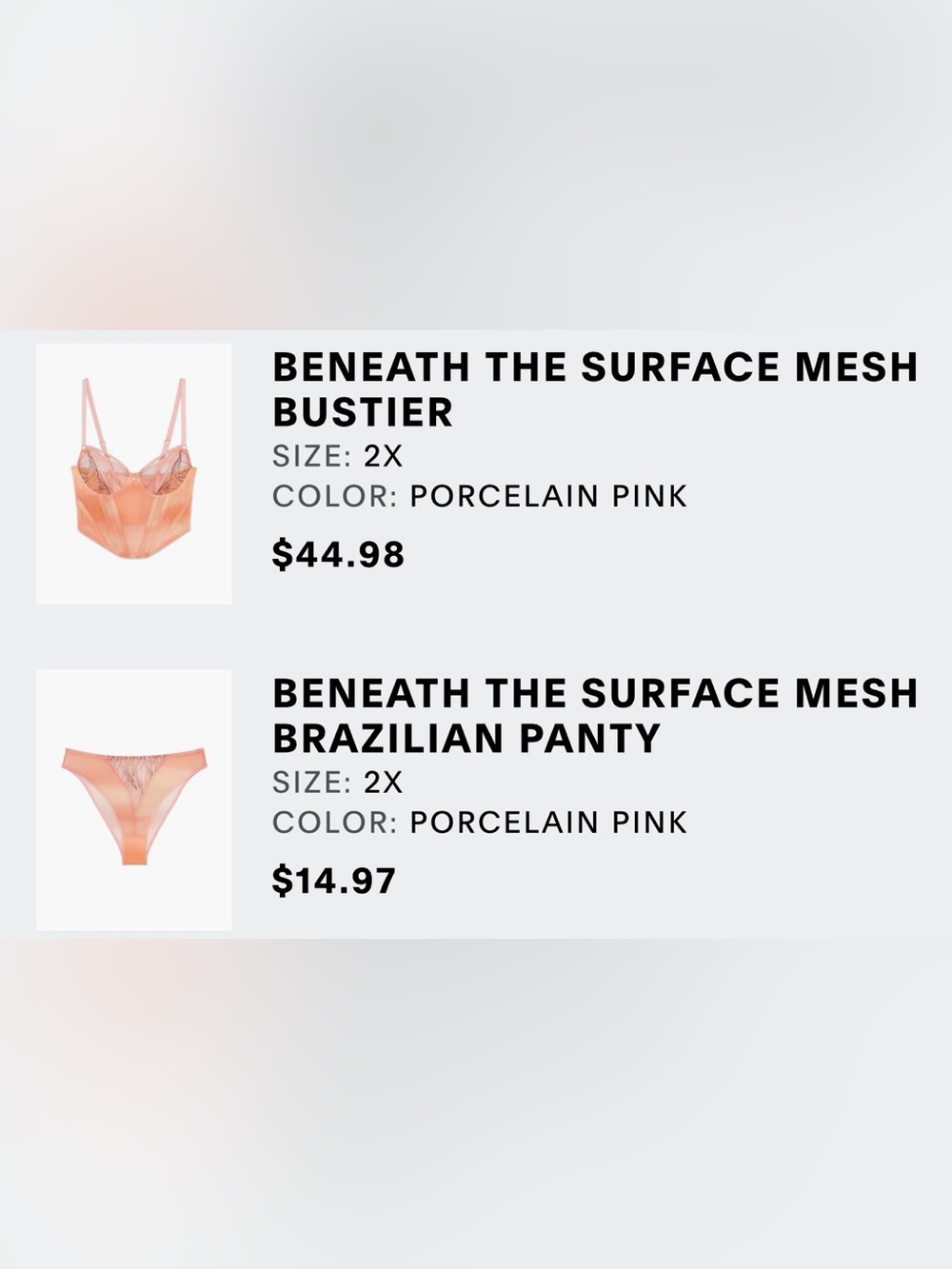 Savage X Fenty Porcelain Pink Mesh Bustier & Brazilian Panty Set